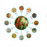 生物質顆粒燃料